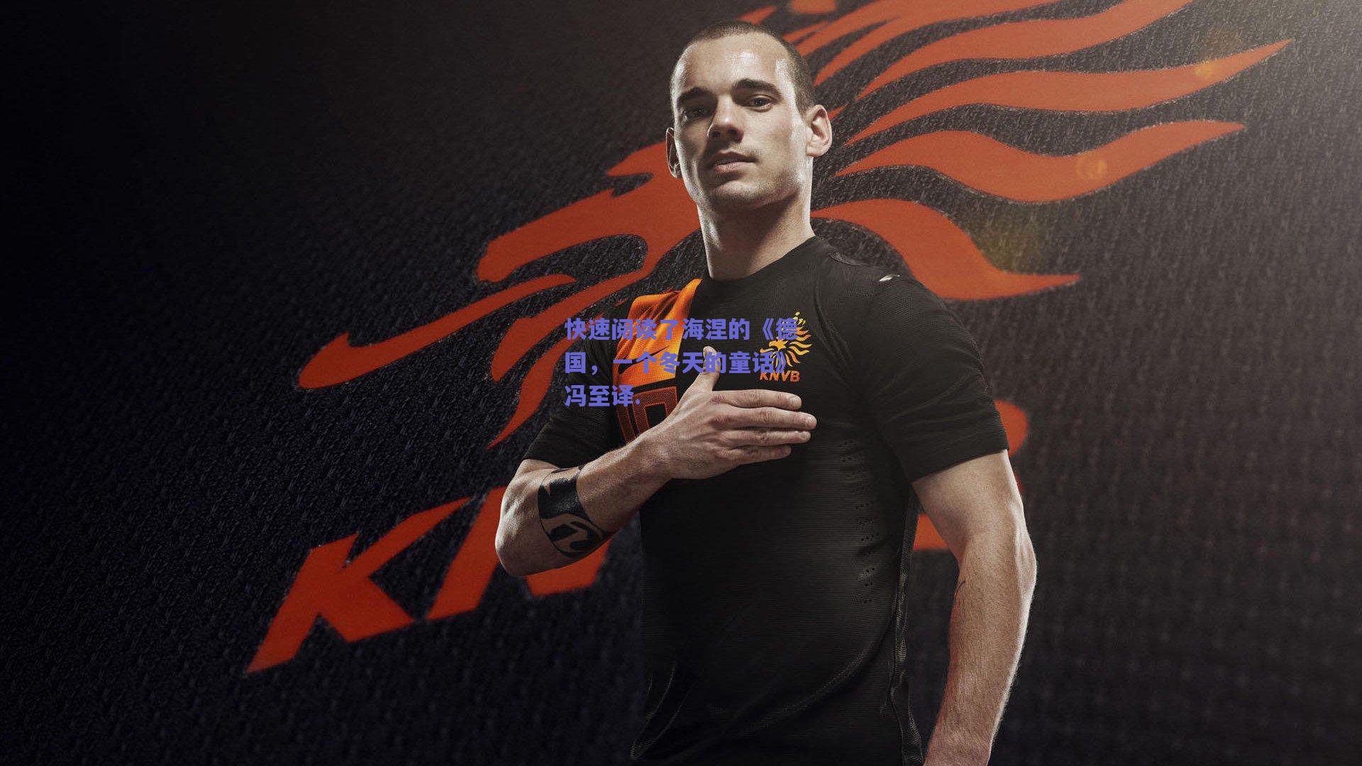 快速阅读了海涅的《德国，一个冬天的童话》冯至译.