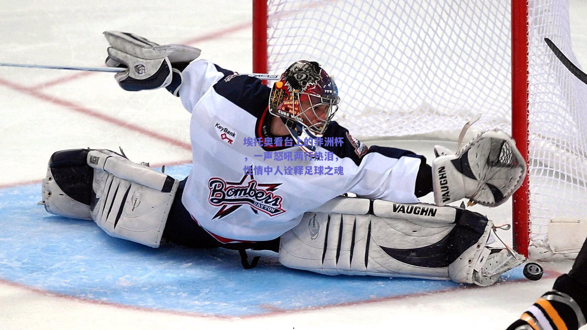 埃托奥看台上的非洲杯,一声怒吼两行热泪,性情中人诠释足球之魂